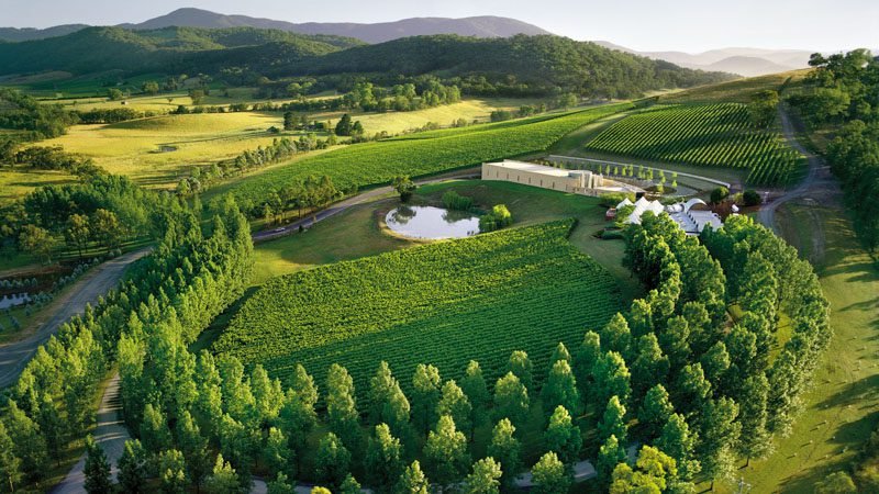 TarraWarra Estate